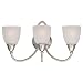 Sea Gull Lighting 40075-962 Pemberton Three-Light Vanity, Brushed Nickel Finish with Satin Etched Glass