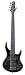 MTD Kingston Bass Guitar ZX 5 String, Fretless with Lines, Transparent Black