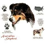 Australian Shepherd Adult Sweatshirt