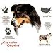 Australian Shepherd Adult Sweatshirt
