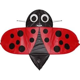 Childrens Single Line Buzzer LadyBug Kite