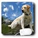 labrador21  - Dogs Labrador Retriever Labrador Retriever Mouse Pads