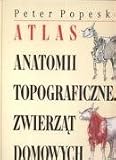 Atlas anatomii topograficznej zwierzat domowych