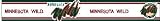 Minnesota Wild NHL Hockey Prepasted Wall Border