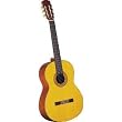 Takamine G124 Classical Guitar