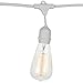 BrightechT- Ambience Pro Vintage Edition Outdoor Commercial String Lights with Nostalgic Edison Bulbs - 48 Feet String Light wit
