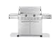 Outdoor Living : Weber 1750001 Summit S-620 Propane Grill, Stainless Steel
