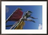 Prayer flags are ravaged by the wind in the Nyele La Pass, Bhutan Subject Framed Art Poster Print by Bobby Model, 29x21