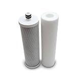 Watts 2-PK Bio Premier 6-Month Microbiological Replacement Filter, 2-Pack
