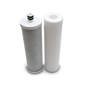Watts 2-PK Bio Premier 6-Month Microbiological Replacement Filter, 2-Pack