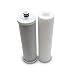 Watts 2-PK Bio Premier 6-Month Microbiological Replacement Filter, 2-Pack