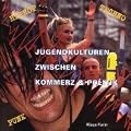 Jugendkulturen zwischen Kommerz & Politik
