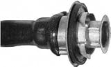 Borg Warner PT117 Light Socket