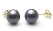 AAA Quality Round 7.5-8mm Akoya SaltWater cultured Black Pearl Earrings with 14K Yellow Gold Mount