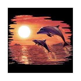 Sunset Dolphin Adult Long Sleeve T-Shirt