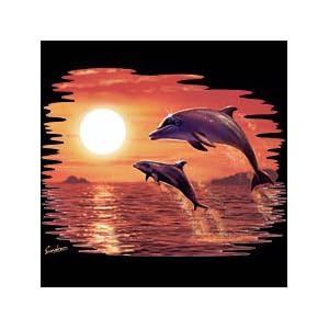 Sunset Dolphin T-Shirt 