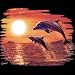 

Sunset Dolphins Youth Sweatshirt