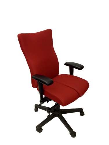 Spinalglide Executive Glider EX Office Chair - A Revolutionary Chair That Provides Mobility While Seated