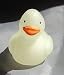 Mini Glow in the Dark Rubber Duckies (24)