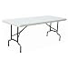Outdoor Living : Heavy Duty Multifunction 4ft Trestle Table