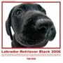 The Dog Labrador Retriever Black 2006 Calendar (Artlist Collection)