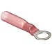 Morris Products 12216 Ring Terminal, Heat Shrinkable, Red, 22-16 Wire Size, #10 Stud Size  (Pack of 100)