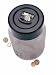 Kitchen & Housewares : E & B Giftware Digital Coin-Counting Money Jar
