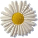 31V1ZOVohsL. SL160  Crocs Jibbitz Assorted Shoe Charms    FUN WHITE DAISY Set of 2!!