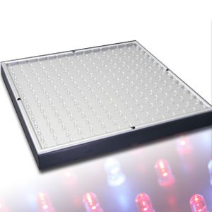 225 LED Hydroponic Lamp Plant Grow Light Red & Blue UK