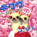 シングルV「チ・ワ・ワ~愛のPOWER~」 [DVD] 画像
