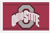 The Ohio State Buckeyes NCAA College 3x5 Foot Flag