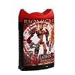 LEGO BIONICLE LEGENDS ACKAR