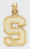 Michigan State University Letters Charm - XC323
