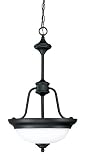 Nuvo Lighting 60/2432 Glenwood 2-Light Medium Pendant with Satin White Glass, Dark Sudbury Bronze