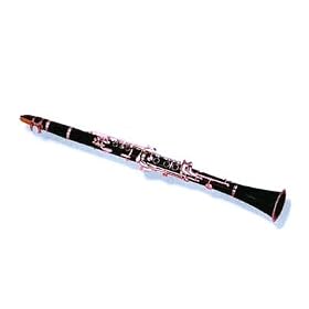 Professional Musical Clarinet With Case