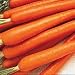 Tendersweet Carrots Seed Packet