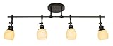 IMAGE OF Elm Park Collection Bronze 4-Light Adjustable Fixture