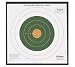 Sporting Goods : ALLEN REMINGTON SIGHT IN TARGETSStyle: 100 yd Bullseye