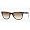 Black w/ Faded Brown Lens