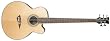 Dean Acoustic-Electric Bass Cutaway 5 String Satin Finish