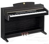 YAMAHA �{�i�h�d�q�s�A�m CLP-230