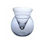 Iced Martini Glass Set