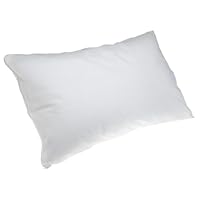 Angel Sales Featherless Pillow