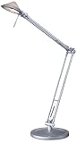 Metallic Gray Architect Halogen Desk Lamp