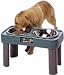 Pet Supplies : Big Dog Feeder 16 Teal