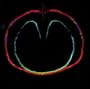 Wasp Star (Apple Venus Volume 2)