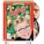 A Christmas Story [DVD] [1983] [Region 1] [US Import] [NTSC]
