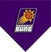 Phoenix Suns NBA Team Fleece Collection Throw