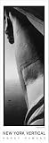 Statue Of Liberty by Horst Hamann Art Print Poster 13.5 x 39