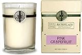 Review   / Archipelago Botanicals Signature Series Soy Wax Candle Collection- Pink Grapefruit